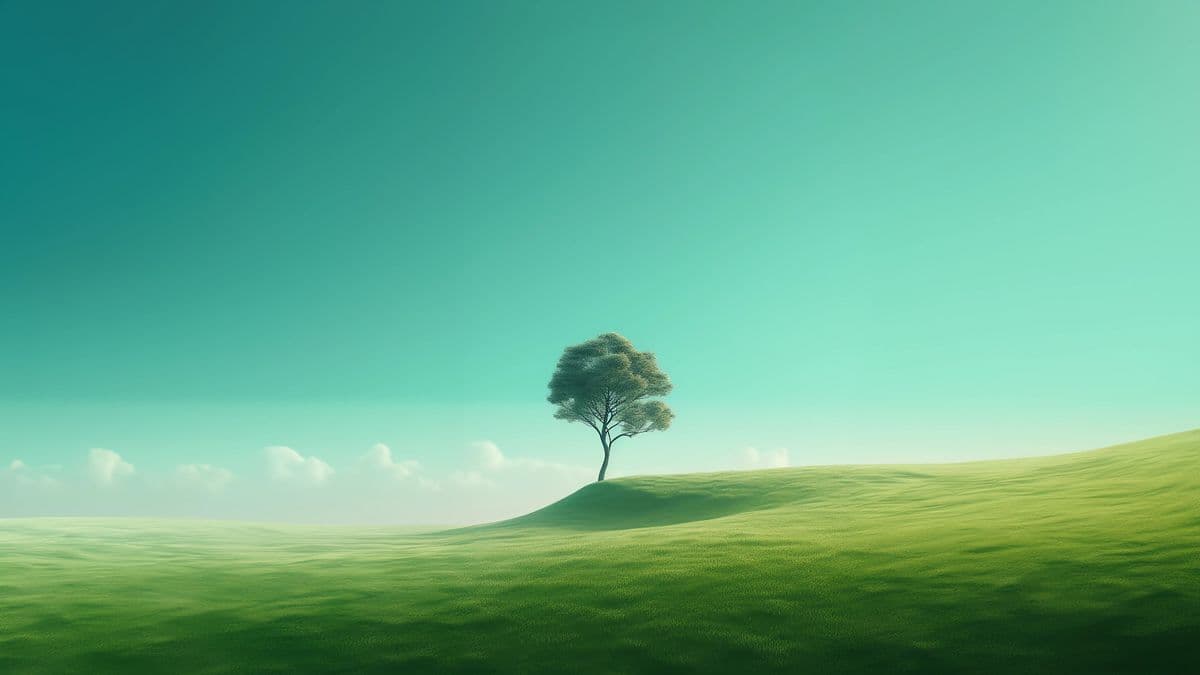 Healing and wellness - image 2